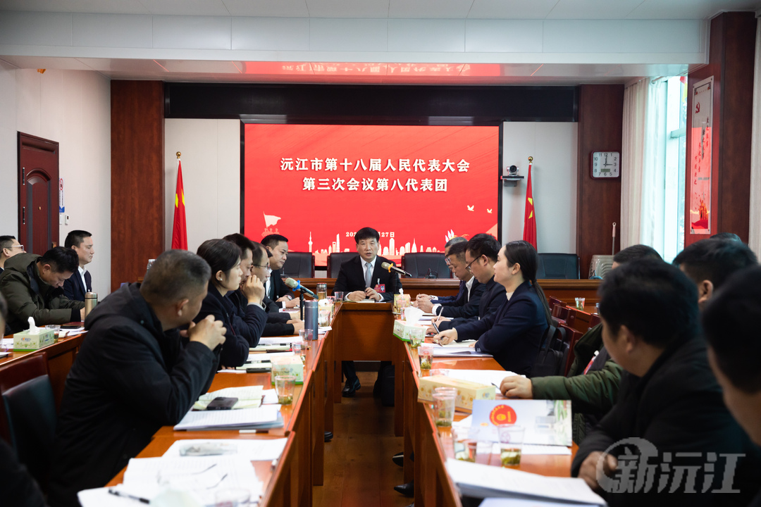 罗必胜参加沅江市第十八届人民代表大会第三次会议第八代表团分团讨论