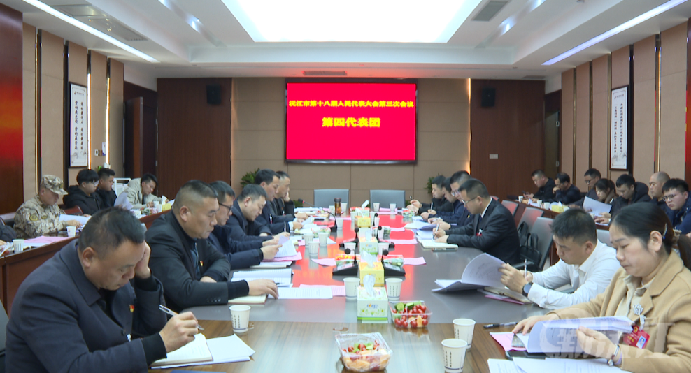 沅江市第十八届人民代表大会第三次会议举行分团讨论