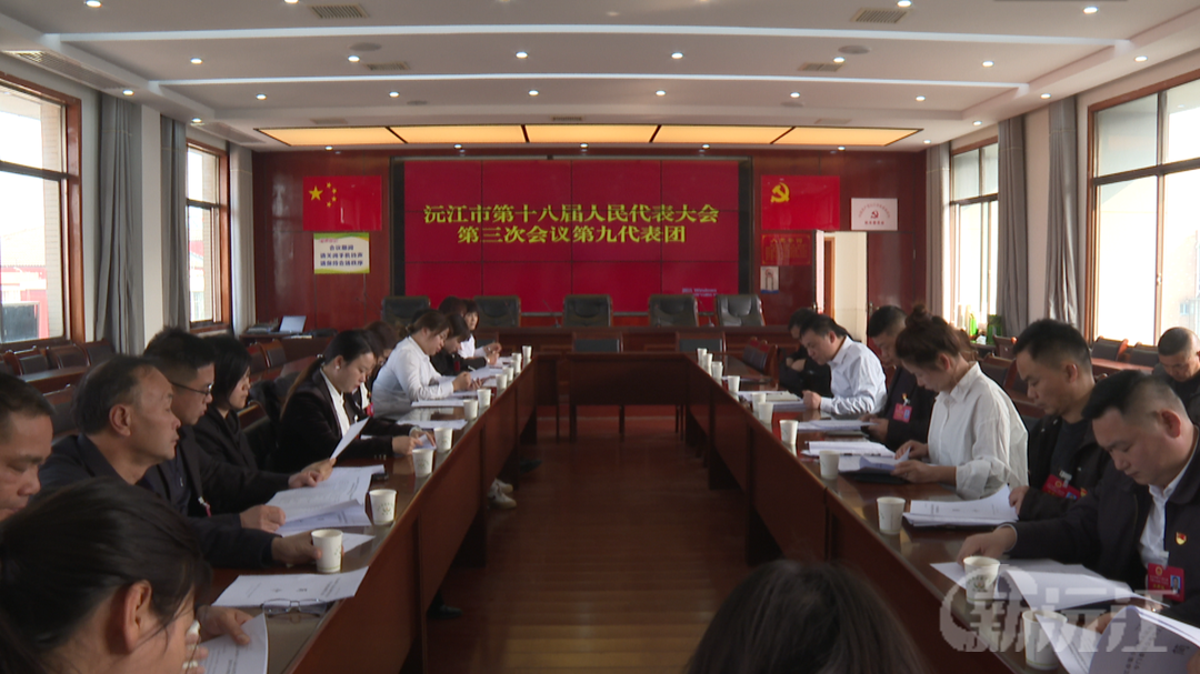 沅江市第十八届人民代表大会第三次会议各代表团进行分团讨论