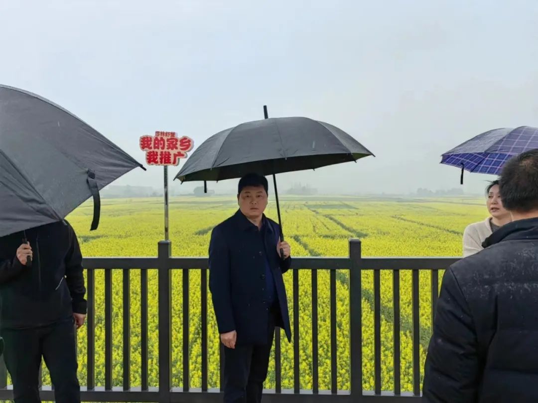 杨智勇：大力发展农业产业 促进乡村振兴