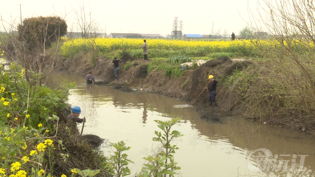 开展河道清理 确保农田灌溉畅通