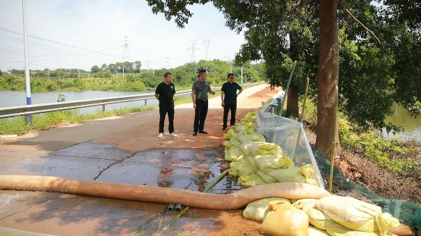 多措并舉抓防汛 排澇降漬保收成