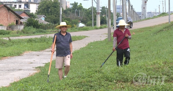 烈日下的防汛堅守