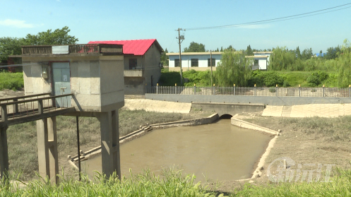 開(kāi)閘放水 為糧田“解渴”保豐收