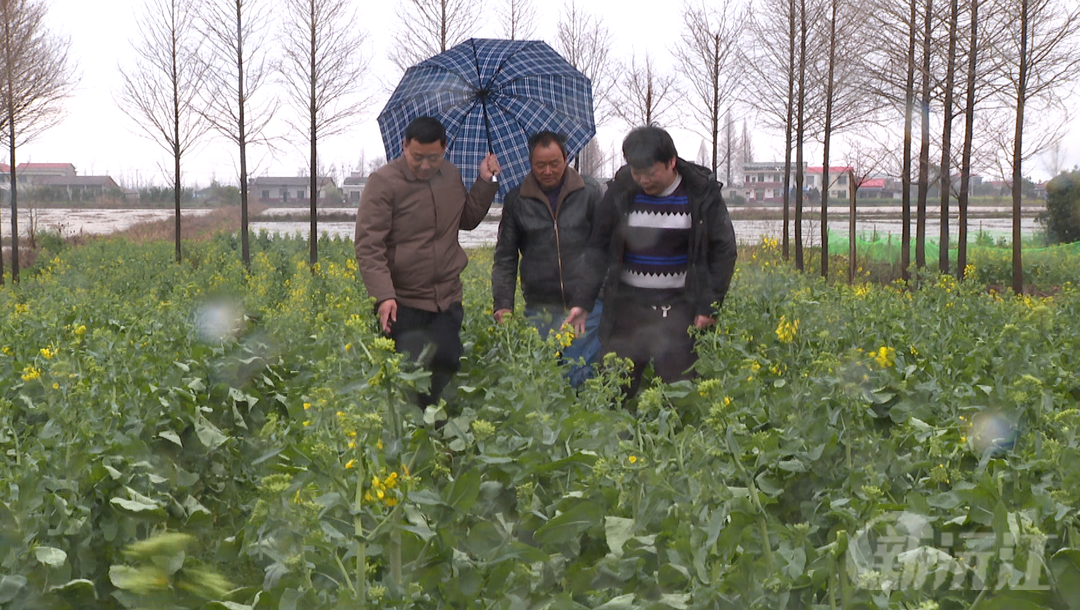 冰雹持續(xù)五分鐘左右 沅江市政府部門積極應(yīng)對(duì)