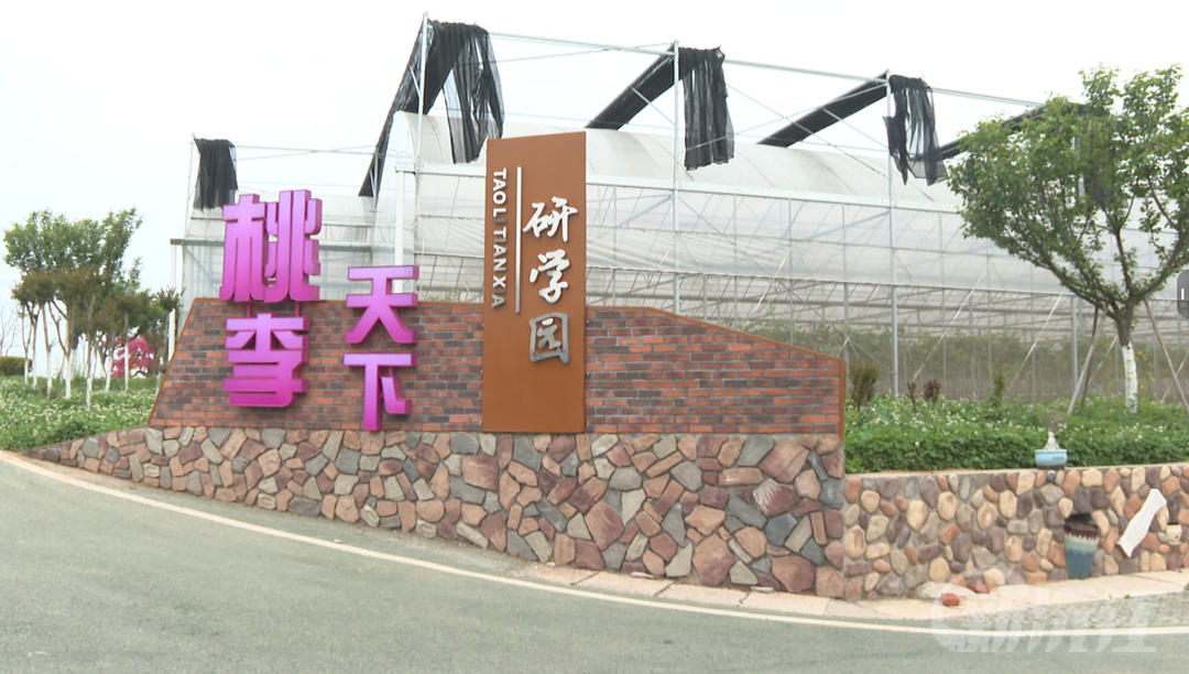 桃李天下研学园火热建设中 沅江文旅将添璀璨新地标
