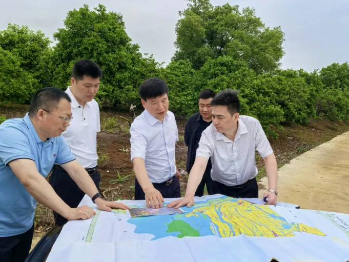 明方向 定路径 鼓干劲 罗必胜专题调研通用机场建设和低空经济发展