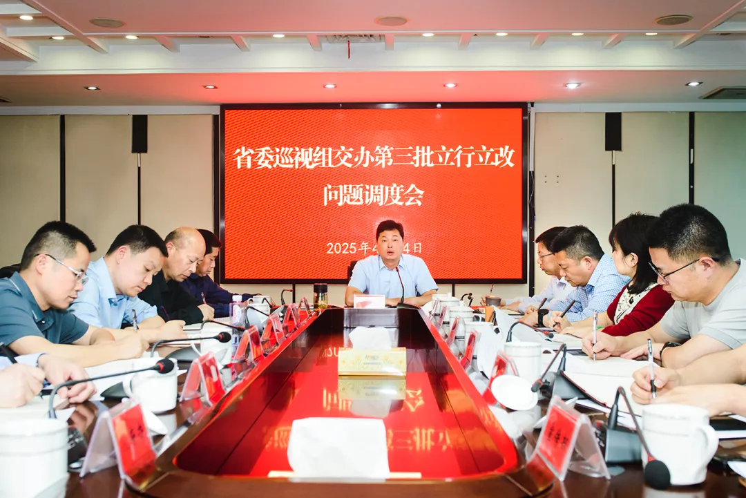 杨智勇：聚焦立行立改问题整改 高质量完成巡视整改任务