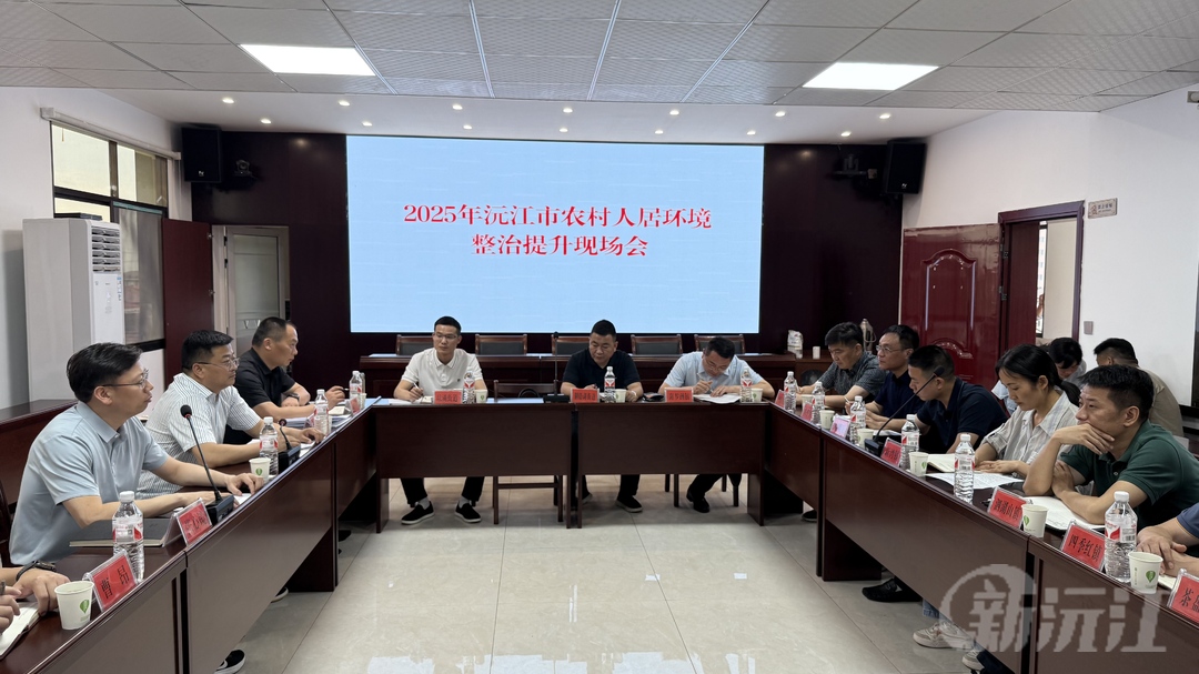 2025年沅江市农村人居环境整治提升现场会召开