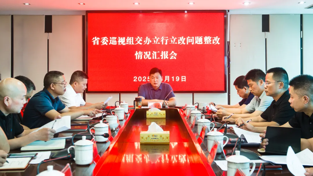 杨智勇：持续巩固整改成效 推动立行立改问题整改常态长效