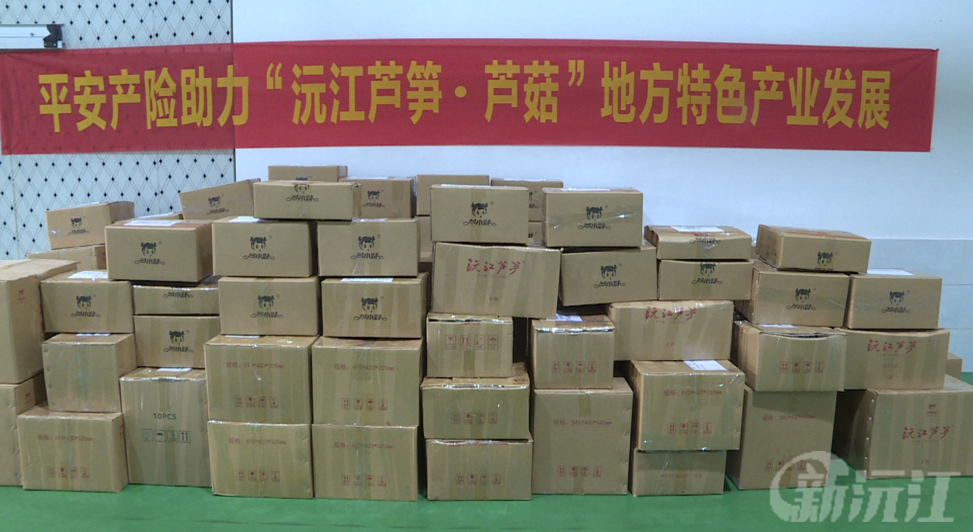 平安产险沅江支公司采购芦笋 消费帮扶助力乡村振兴