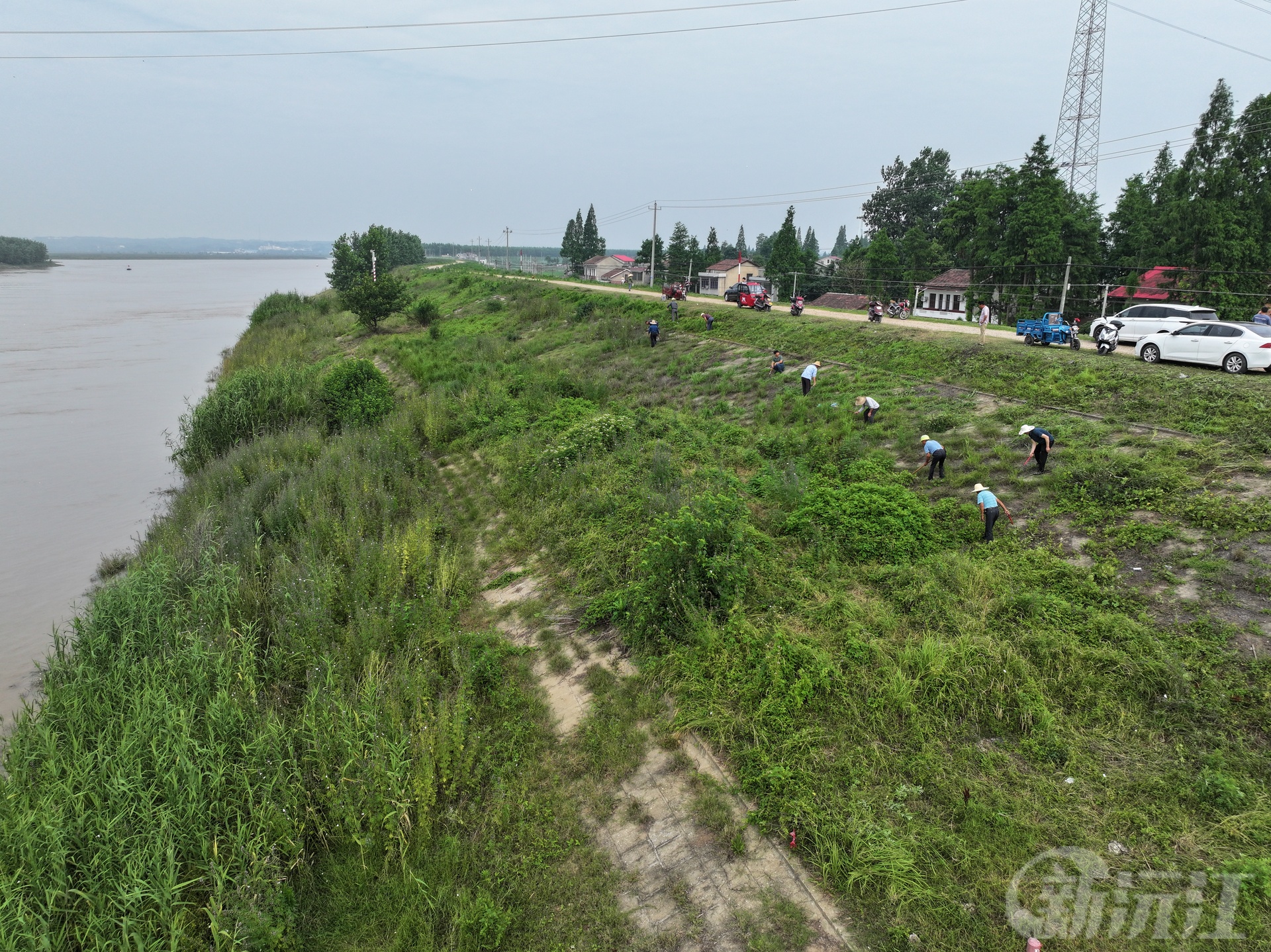 湖南沅江：机械赋能清障，村民高温下守护家园