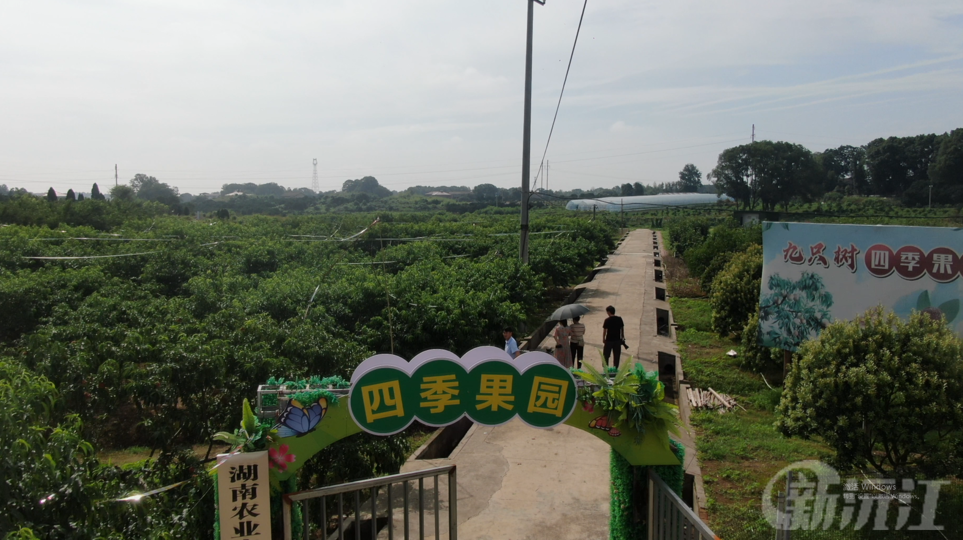 九只树村：四季果园果香四溢 游客纷至沓来