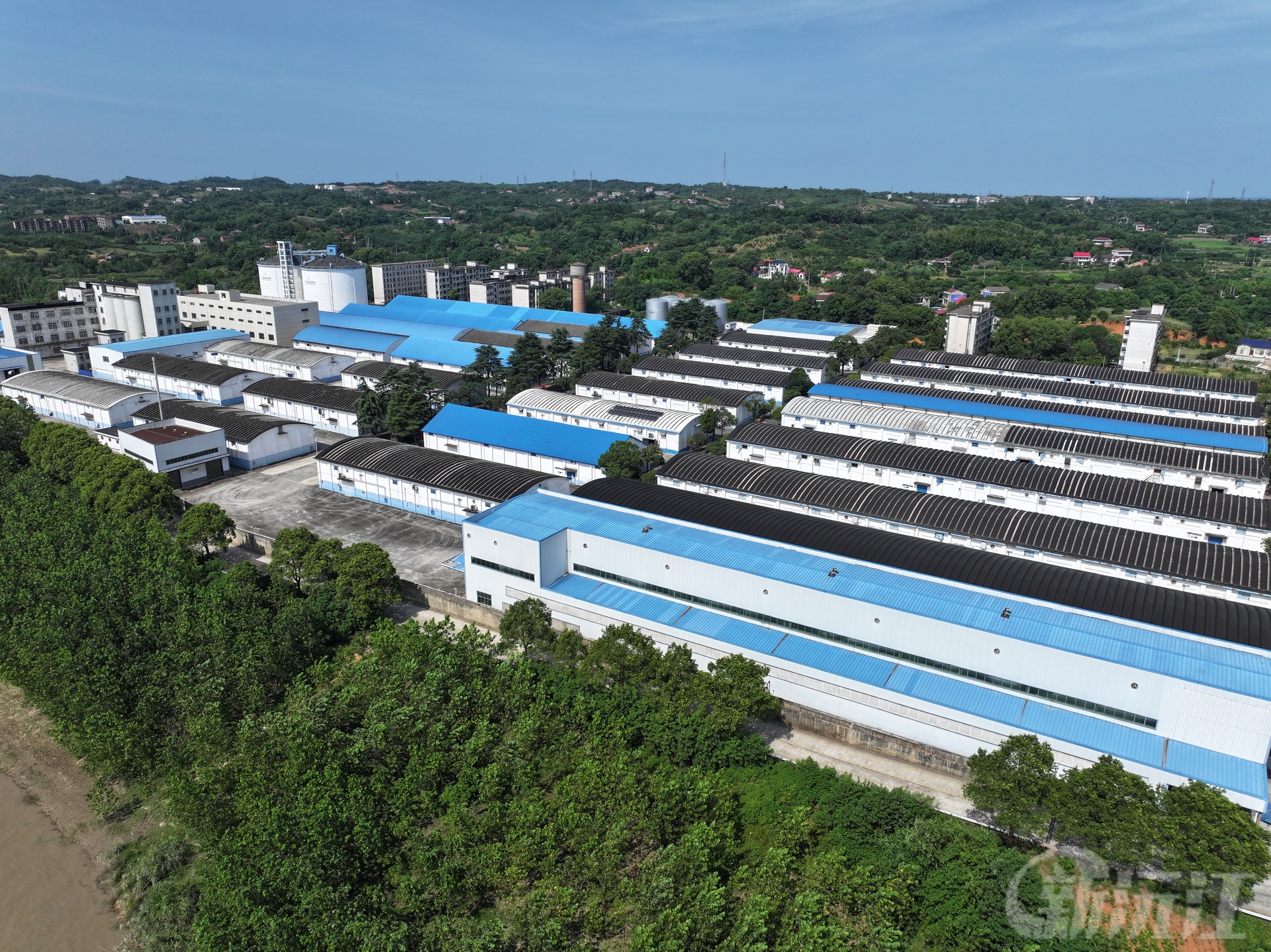 湖南沅江：早稻收购工作有序进行 确保应收尽收、颗粒归仓