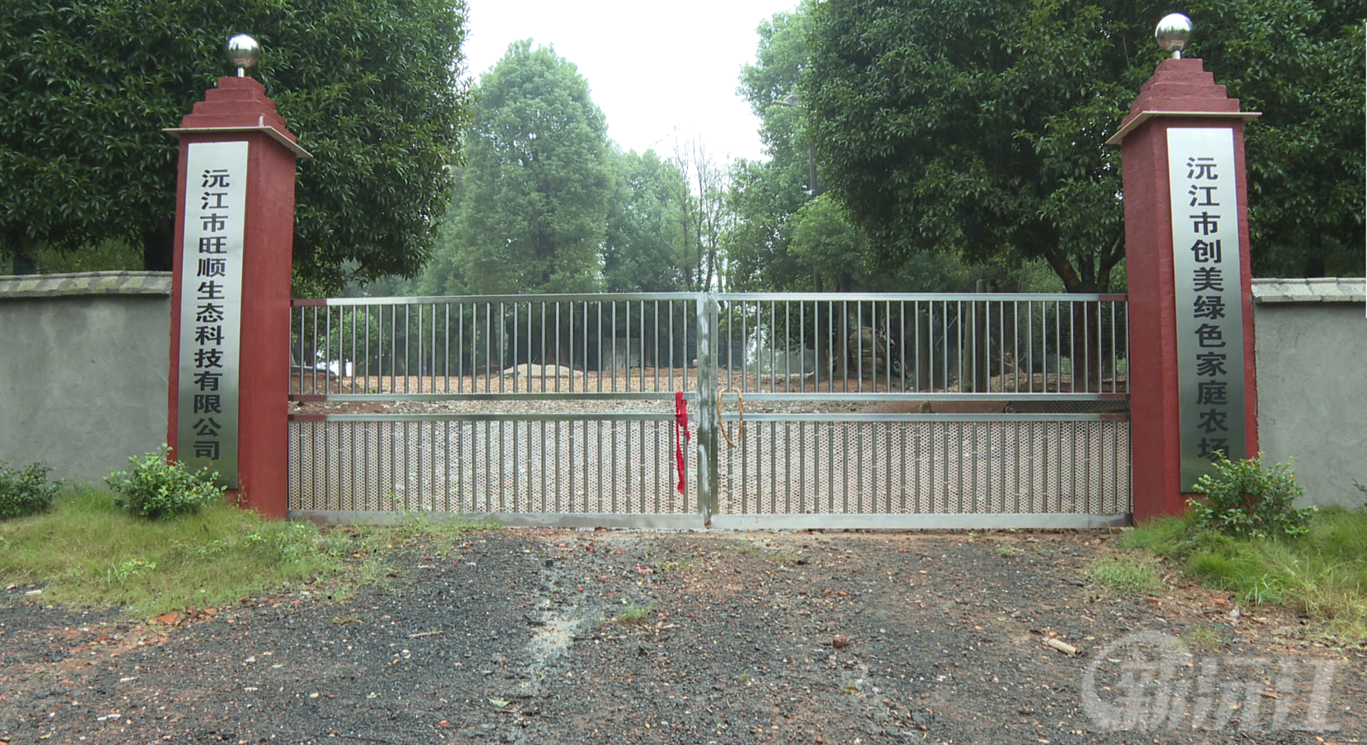 林下养殖：生态循环新模式助农增收