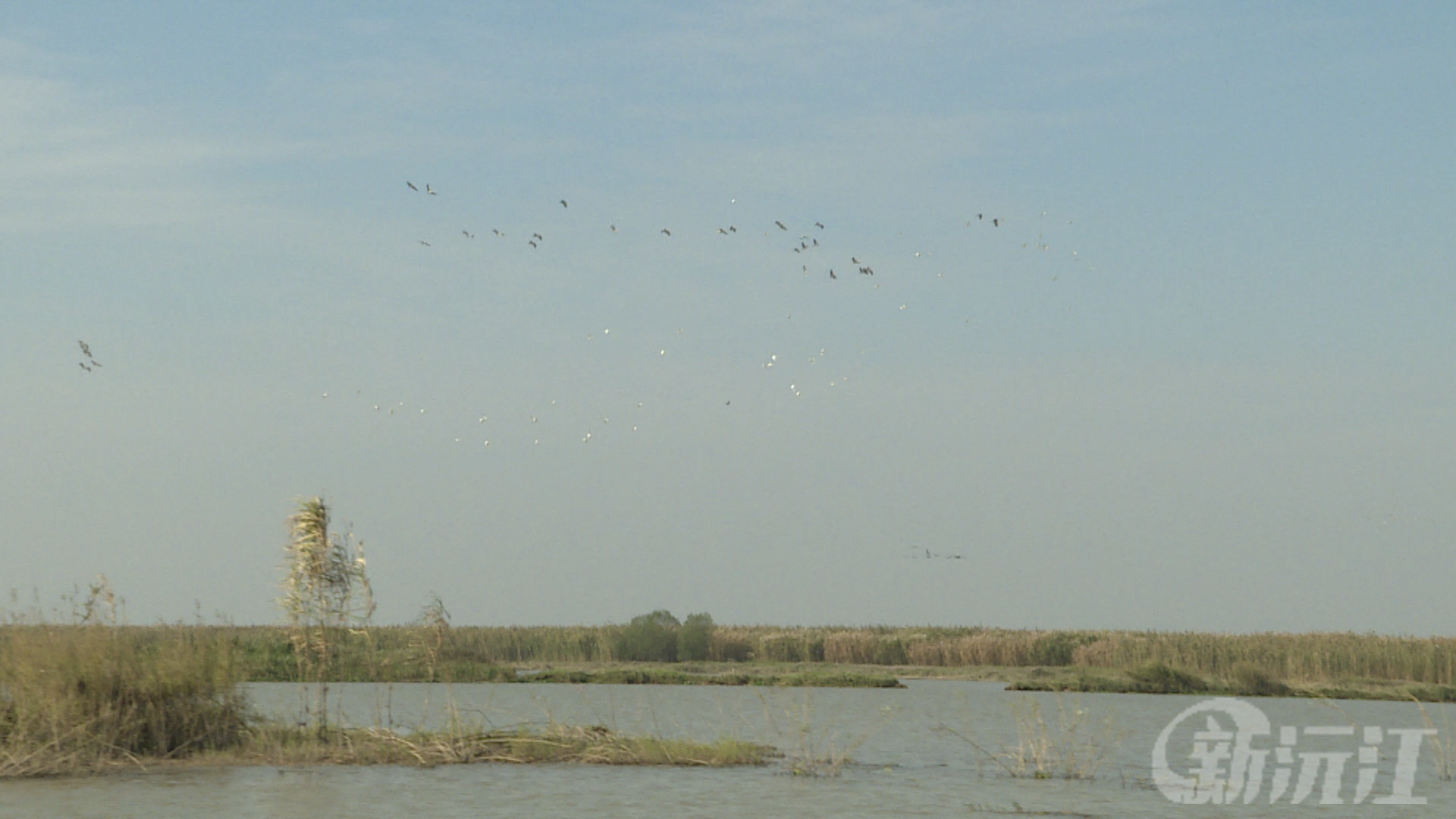 非凡“十四五”|沅江市农业综合行政执法大队：禁渔护生态 助力“十五五”高质量发展