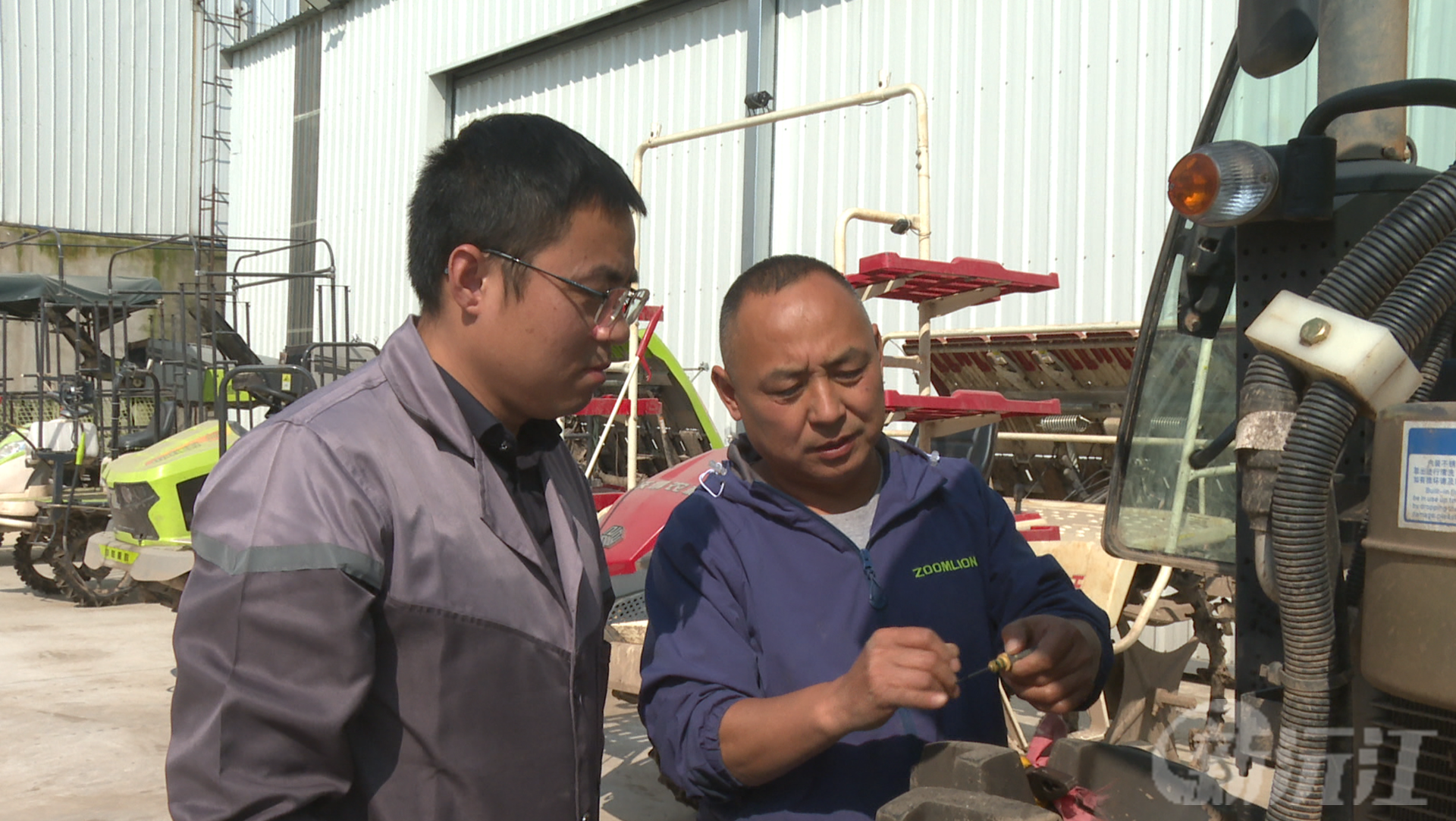 田野践初心 履职显担当 —— 人大代表周波引领合作社绘就乡村振兴新图景