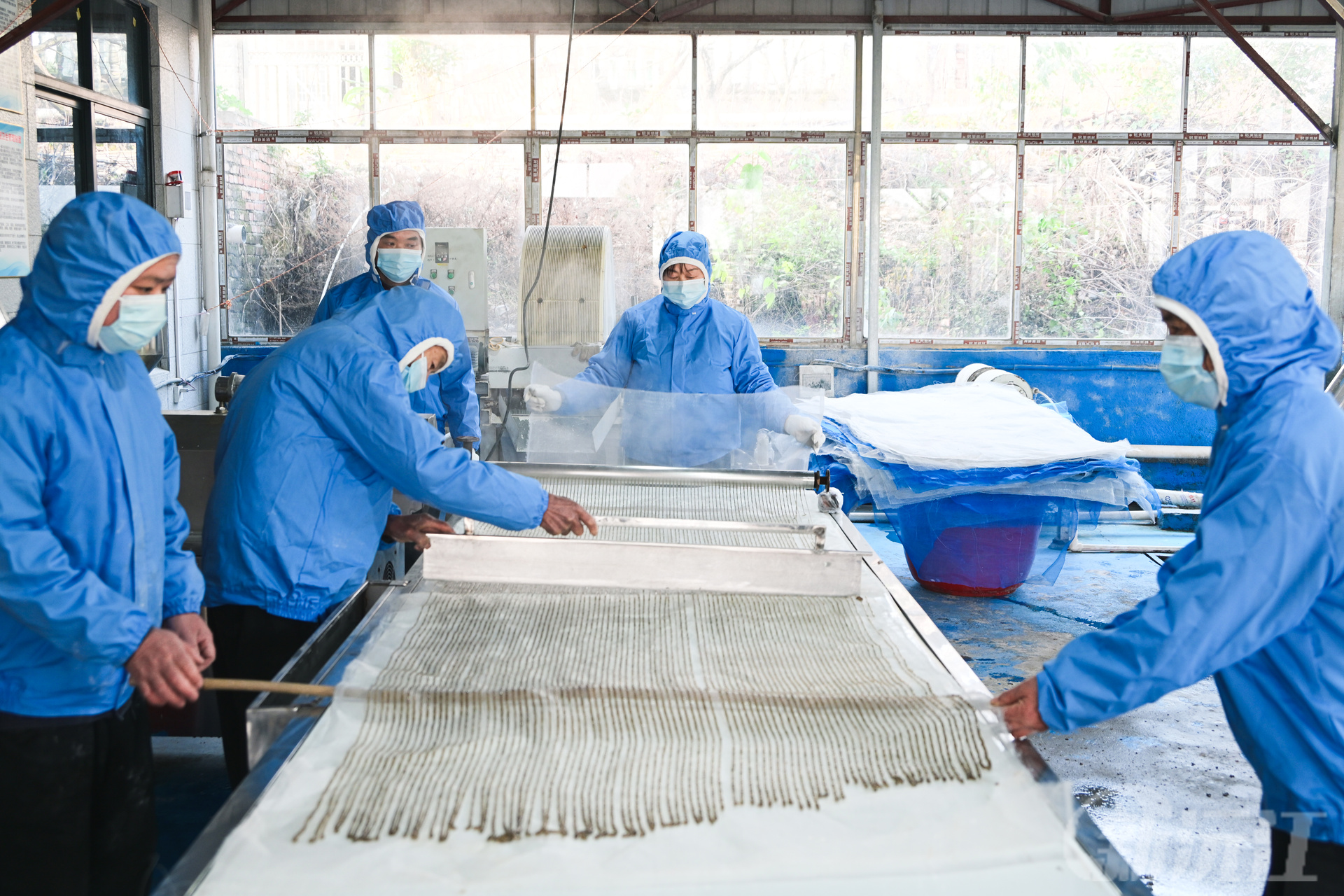 南嘴镇百家沟村：小红薯撬开富民新路径