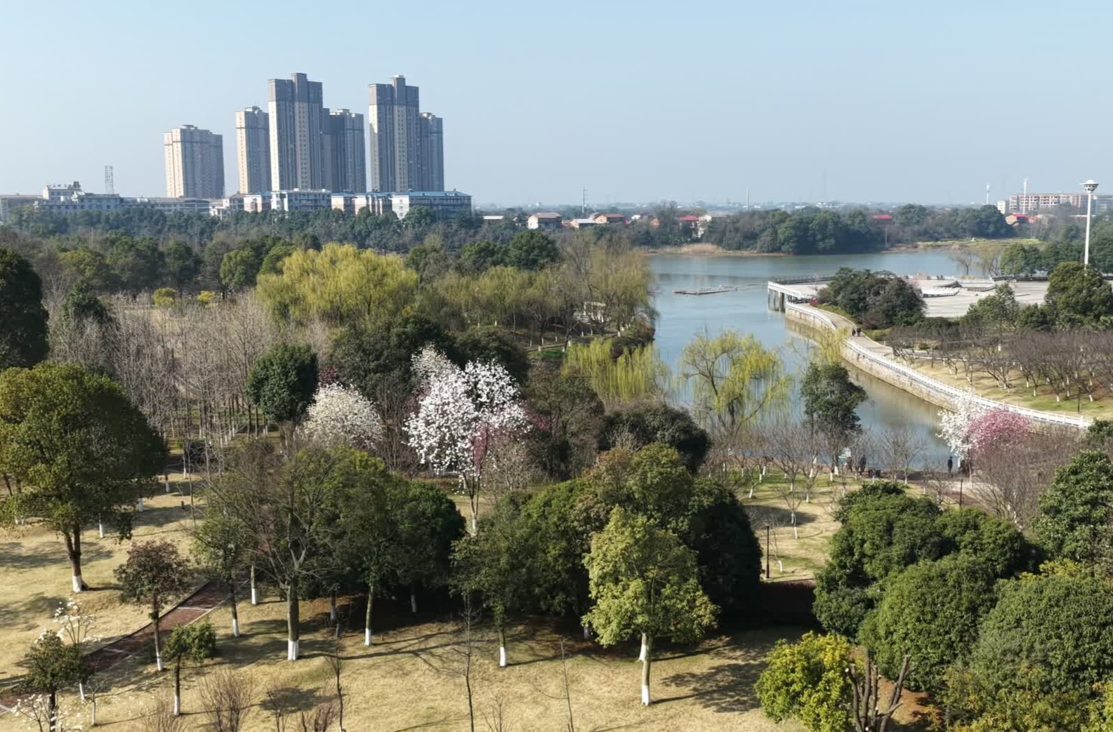 湖南沅江：蓼叶湖公园百花盛放 春日美景引客来