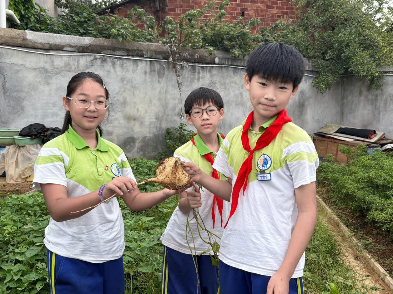 泥土藏硕果 劳作遇丰收——城南实验学校学农基地采摘乐